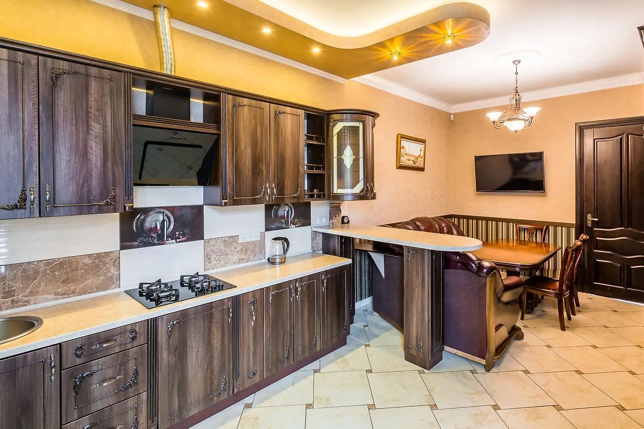 Beautiful Apartment D.Galytskogo Lviv